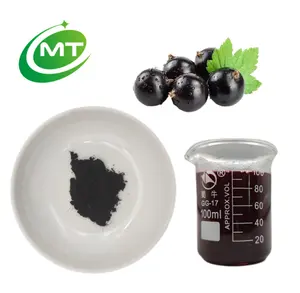 Natural Black Currant Extract Herbal Extract Powder Anthocyanin 25%-30%