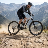 2025 Vollgefedertes Enduro E-MTB 500W 48V Lithium 29 Zoll 12-Gang 12S 203mm 4-Kolben 160mm Dropper 140Nm Sport 45KM/H