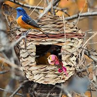 2 Stück handgewebte hängende Vogelnester aus Gras |   Für Wellensittiche, Sittiche, Kanarienvögel, Stieglitz, Kolibris, Wimpelkäfer