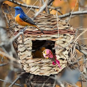 2 Pièces Nids d'Oiseaux Suspendus en Herbe Tressée à la Main |   Pour les canaris, les tourtereaux, les colibris, les rouge-gorge, les colombes et les oiseaux de compagnie - Product Image 5