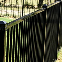 Panneaux de clôture en acier noir thermolaqué robustes et personnalisables pour extérieur, fabrication directe GS, clôture de jardin moderne à sommet plat