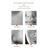 Masque Purifiant Original OEM au Thé, Masque Facial Jetable à l'Argile Verte, Stick Nettoyant au Musc, Traitement Anti-Acné, Affinage des Pores