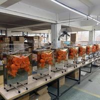 110V 220V Commerciële Oranje Juicer Machine NS2000E-2S Automatische Citruspers Roestvrij Staal Elektrische Vruchtensapcentrifuge