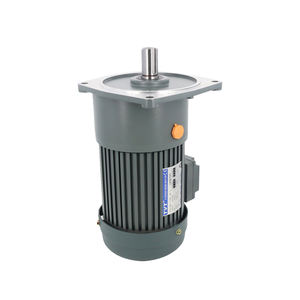 220V 750W 28mm 50Hz/60Hz 단상/삼상 수평형 AC 기어 유도 전동기 - Product Image 4