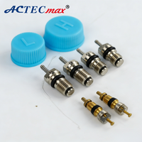 ACTECmax Blue Cap Pièces de climatisation automobile Nouveau siège de valve AC.113.177 pour KIA pour HYUNDAI Climatiseur de voiture R12 R134A KIT CAP&VALVE