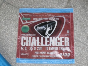 Inflatable Waterproof Advertising Archway with Easy Setup and Electric <b>Pump</b> for Events & Parties - Product Image 6