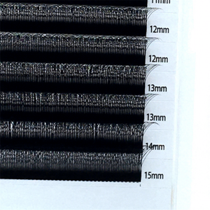 Extensions de cils Dragon 3D W Lash, bouquets préfabriqués volume féerique, haute qualité, 0.07mm, noir, 1 plateau, faits à la main, Clover Bloom Natural Lc - Product Image 1