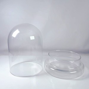 Cúpula de Vidrio de 8 Pulgadas para Plantas de Interior, Pequeño Terrario de Vidrio con Base, Mini Cúpula con Base para Exhibición y Decoración del Hogar - Product Image 5