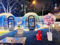 Dôme géodésique moderne en polycarbonate PVC, tentes de luxe d'extérieur, igloo préfabriqué transparent, véranda quatre saisons, imperméable