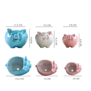 सुअर के आकार के साथ फ्लेक्सी सिरेमिक फूल बर्तन बगीचे के घर सजावट के लिए बड़े हाइड्रोपोनिक प्लांटर - Product Image 4