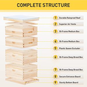 Langstroth Bee Hive 4 Layer Hive Box 20 Frame Beehive Frames 2 Brood Box 2 Super Box Langstroth Beehive Kit - Product Image 5