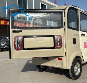2026 nouvelle Mini voiture électrique pour adultes avec efficacité énergétique Tricycles électriques à trois roues et deux portes à carrosserie fermée bon marché - Product Image 3
