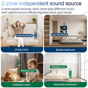 <span class=keywords><strong>7</strong></span> pouces Android 11 Tuya panneau de commande intelligent lecteur de musique USB Zigbee intégré électrique écran tactile Audio amplificateur mural - Product Image 6