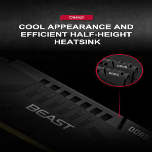   Venta al por Mayor de Fábrica: Memoria RAM para Juegos Beast DDR5 Fruy Beast 6000/16X2 C30 para PC de Escritorio - Product Image 6