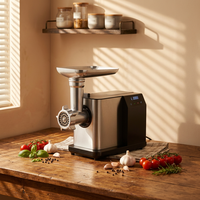 Hachoir à viande électrique à affichage numérique, boîtier en plastique, moteur entièrement en cuivre, pour cuisine domestique, fonction inversée, 800W, sûr