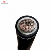 JBQ High Temperature Motor Lead Cable Oil Resistant Flexible 0.66/1.14kV for Industrial Motors
