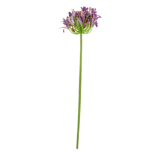 ก้านดอกอะกาแพนทัสประดิษฐ์ยาว 80 ซม. หลายสี ก้านดอกอะกาแพนทัสปลอม - Product Image 2