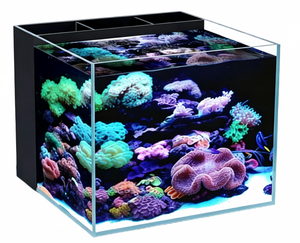 <span class=keywords><strong>Aquarium</strong></span> miniature pour <span class=keywords><strong>eau</strong></span> <span class=keywords><strong>de</strong></span> <span class=keywords><strong>mer</strong></span> avec cabinet en alliage d'aluminium, réservoir carré 35*35*35cm 40*40*40cm 50*50*50cm - Product Image 6