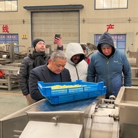 YZ Semi-automatische diepvriesfrietlijn voor fruit- en groenteverwerking, capaciteit 50kg-200kg, voor gebruik in de voedingsmiddelen-/snackindustrie