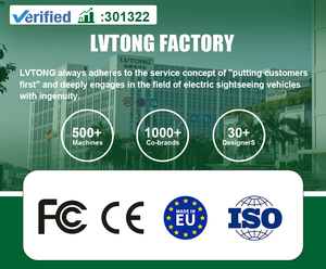 LVTONG Nuevo Carro de Golf de 48V 4kW para 2 Personas, Autobús Turístico, para Club de Caza, con Autonomía de 80 a 100 km - Product Image 4