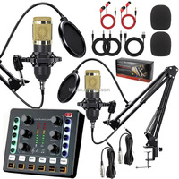 Kit TNH BM800 en promotion avec deux microphones à condensateur, carte son et support de suspension pour podcast et streaming en direct