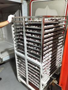 Túnel de Congelación Rápida de Alta Calidad HNOC, Máquina de Congelación IQF, Túnel de Congelación para Mariscos, Túnel de Congelación IQF Usado - Product Image 6