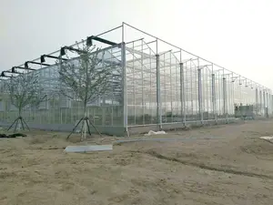 Hot Galvanized Steel Structure Glass Cover Used Commercial Greenhouse With Hydroponic Growing System