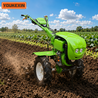 Mini motoculteur rotatif diesel portatif pour l'agriculture 7-15 CV certifié CE, directement du fabricant