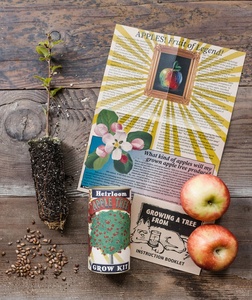 Kit de truie et de culture de fruits de <span class=keywords><strong>pommier</strong></span> <span class=keywords><strong>Pot</strong></span> de fleur de conception campagnarde moderne pour pépinière cuisine bureau maison jardin exclusif - Product Image 3