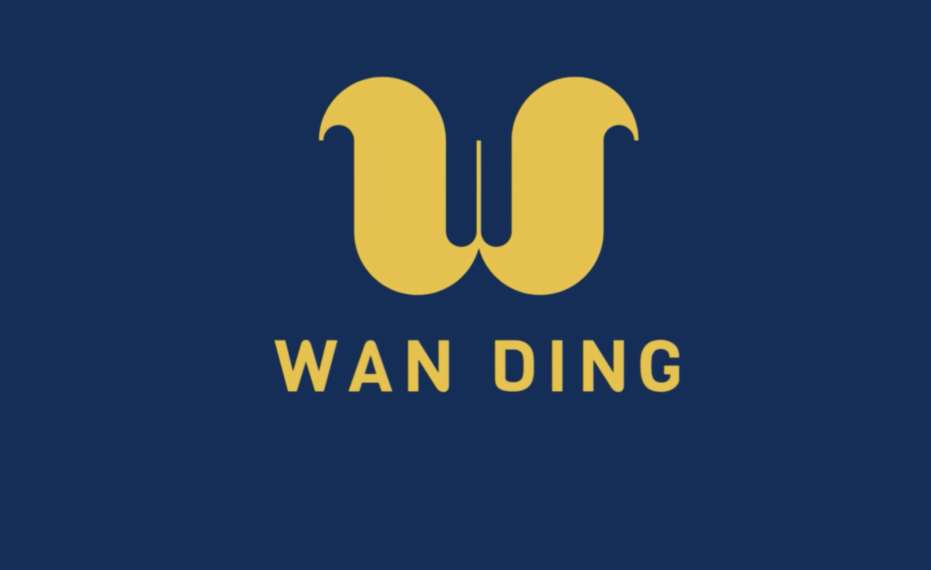 Shenzhen Wandin Technology Co., Ltd. logo