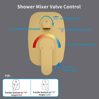 Système de douche complet 12 pouces avec pommeau de pluie design moderne, mitigeur à poignée unique, barre coulissante, jets de massage en laiton pour hôtel et spa