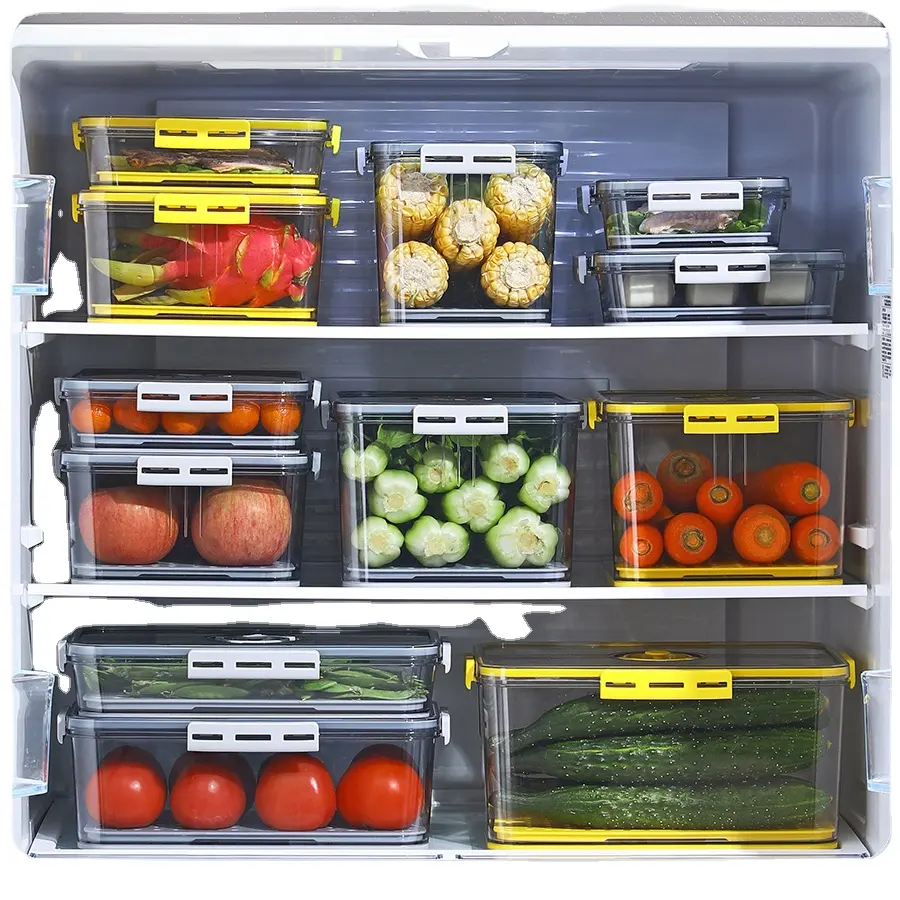 Kitchen Pet Food Fruits And Vegetable Storage Bin Freezer Ref Fridge Storage Container Boxes With Lids