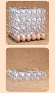 Bandeja y Cajas de Cartón Ecológicas de Plástico PET para Huevos al por Mayor, Materiales Reciclados Baratos para Uso Industrial y Alimentario - Product Image 4