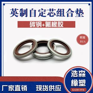 แหวนรองโลหะเคลือบ Kairuite รุ่น Bs A มาตรฐาน ทนความร้อนสูง ใช้สำหรับท่อน้ำ - Product Image 5