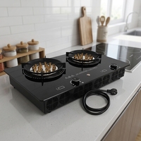 Cuisinière électrique à plasma à haute efficacité alimentée par l'énergie solaire 6000W, double brûleur, plaque de cuisson à flamme pour usage domestique et extérieur