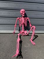Squelette d'Halloween grandeur nature SIPKLR 165 cm/5,4 pieds, squelette humain articulé pour décoration de maison hantée ou de jardin