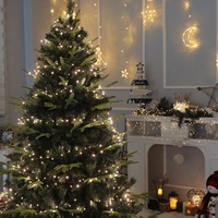 Guirlande lumineuse LED NINI transfrontalière pour sapin de Noël, télécommande, 10m/20m, fil de cuivre pour une ambiance festive