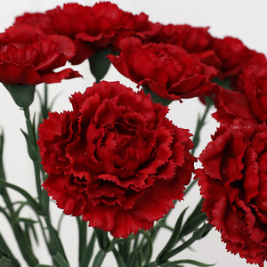 Flores de Clavel Artificiales Ruilisi, Tallo Único, Seda Realista, Decoración para Bodas y Hogar - Product Image 4