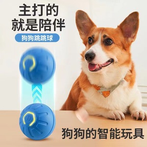 Jouet pour chat transfrontalier, jouet électrique pour chiot, chat, chien, balle roulante intelligente, jouet pour chien, jouet pour animal de compagnie - Product Image 3