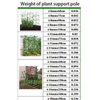 Piquets de jardin et jardinières fixes du fabricant, supports de tomates, poteaux de support de plantes en pot