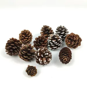 Best Selling Spray White Tipped Pure Natural Accessories Christmas Hanging Pine Cones Ornaments for Christmas Decoration Tree