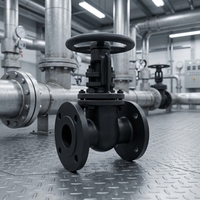 Vanne à opercule en acier moulé standard GOST, à bride, à opercule conique, PN16 PN25 DN50 DN1200, certifiée EAC pour les pipelines russes
