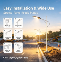 Lampadaire LED personnalisé 6000K lumière du jour, indice de protection IP65, compatible télécommande, éclairage extérieur pour panneaux routiers.