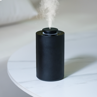 Diffuseur d'arômes électrique portable CNUS CAR ALU, désodorisant de voiture sans eau, lumière ambiante, double usage pour la maison et la voiture, rechargeable
