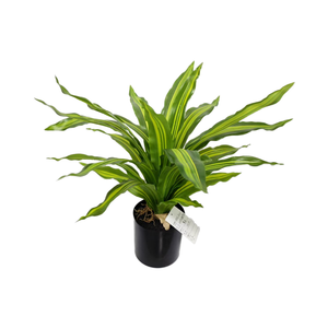 Thân Thiện Với Môi Máy Tính Để Bàn Trang Trí 53Cm Giả Yucca Cây Mô Phỏng Nhân Tạo Dracaena Cây Phong Cách Nhân Tạo Nhà Máy - Product Image 5