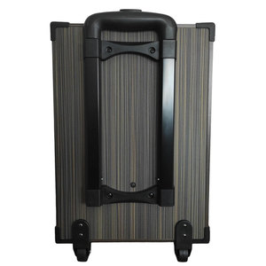 12" 80W Bluetooth Portable <b>Speaker</b> With SD <b>USB</b> Rechargeable Trolley For Outdoor Events - Product Image 4