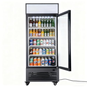 Congélateur vertical à porte simple COLDSTAR pour l'affichage des fleurs, vitrine réfrigérée à refroidissement par ventilateur - Product Image 2