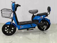 Vélo Électrique Urbain pour Commuters avec Batterie au Lithium Amovible en Option et Panier Avant – Siège Passager Disponible – E-Bike Adulte