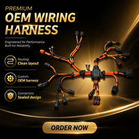 Harnais de câblage haute tension personnalisé pour véhicules électriques, assemblage de câbles avec connecteur électrique multipolaires pour intégration véhicule