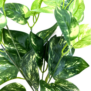 <b>Artificial</b> Pothos Plant 7-Forked Single <b>Stem</b> 30cm-100cm High Simulation Leaves Outdoor Indoor Desktop Decoration - Product Image 2